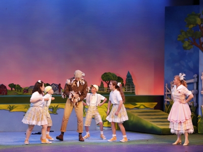 Honk-2_400x300_acf_cropped