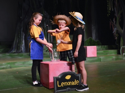 12_SummerLemonade-scaled_400x300_acf_cropped