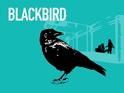 400x300_Blackbirdl_Graphics13